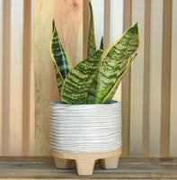 RAMOS HORIZONTAL STRIPE CACHEPOT, STONEWARE - 2 sizes available