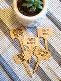 Plant Statement Stakes, 5 piece set