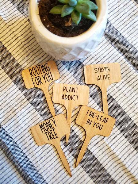 Plant Statement Stakes, 5 piece set